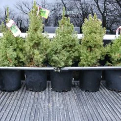 Best Sale 👍 Hot Sale 🎉 CargoSmart Trailer Accessories 40-70In Adjustable Ratcheting Cargo Bar 👏 ❤️ -Outlet Automotive Store 08175602